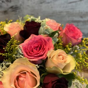 Pink and Red Roses