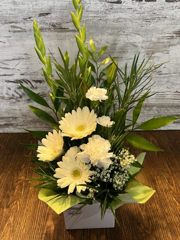 Box arrangement in fresh white flowers including gerberas, sim carnations, gladioli with baby's breath.