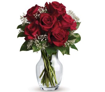 Six long stem premium red roses presented in a vase for love and for roamce with some sweet white filler flower and greenery.