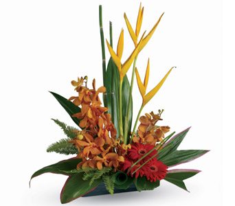 tropical flower arrangement in a modern design