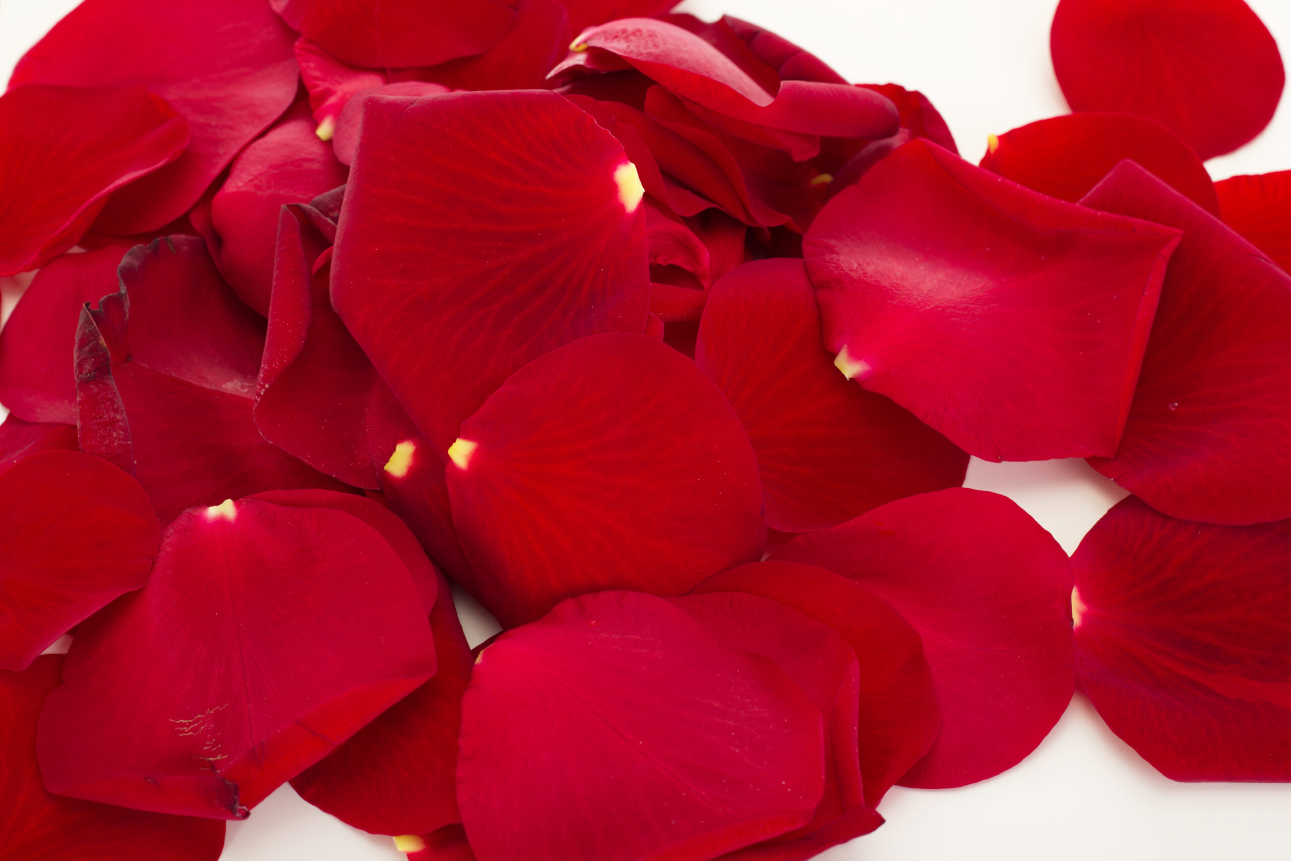 Bag of rose petals