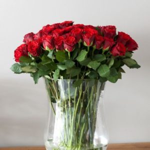 48 Long Stem Premium Roses