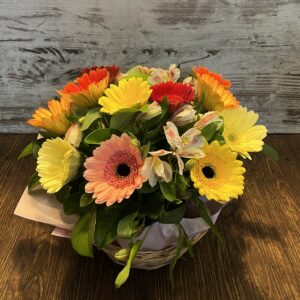Gerbera Gift Basket