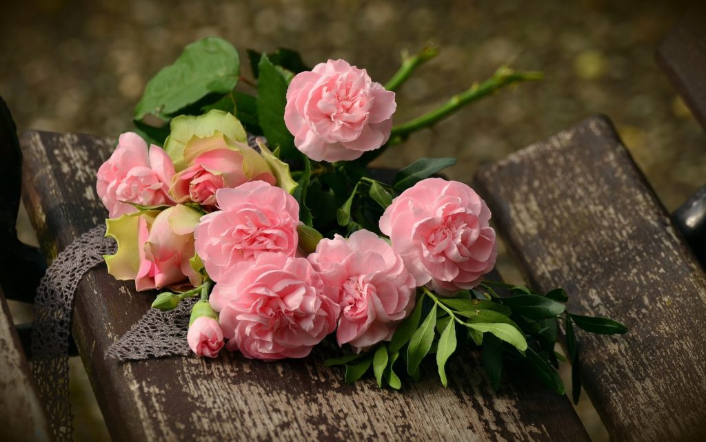 pink-carnations flower substitutions westridge-florist-toowoomba