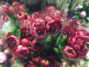 market-flowers-peonies-local toowoomba florist
