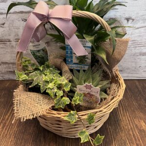 Living Plant Gift Basket