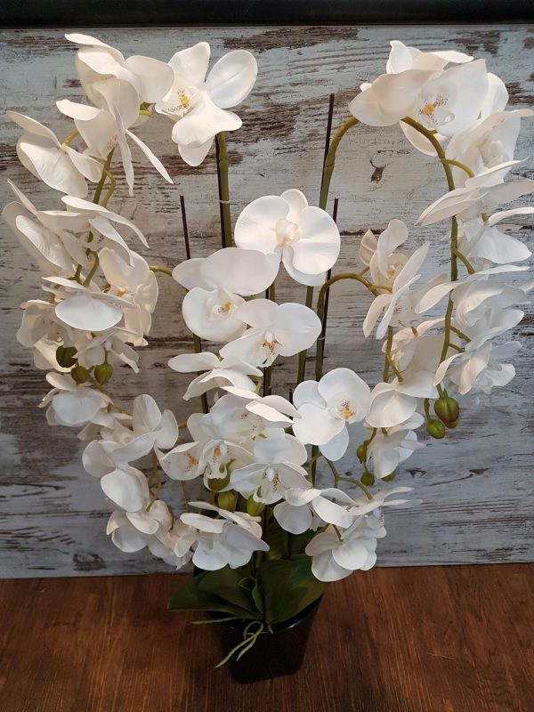 Artificial white real touch phalaenopsis orchid.