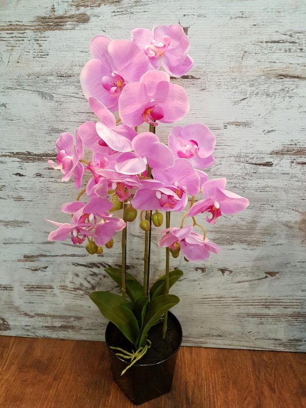 Pink classic artificail phalaenopsis orchid