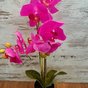 Artificial flowering orchid plants online