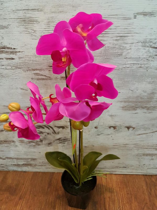 Artificial flowering orchid plants online
