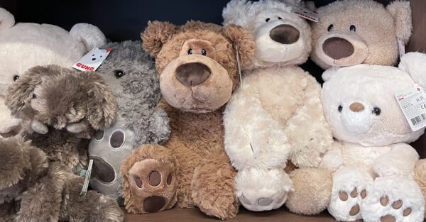 Bears